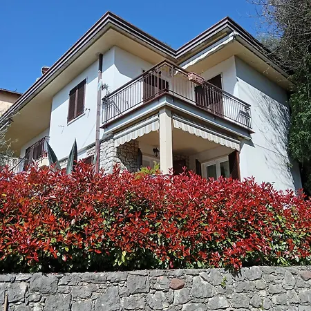 Citrus Apartment *
